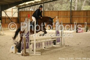 Poney_2_CSO_11h42_086.jpg