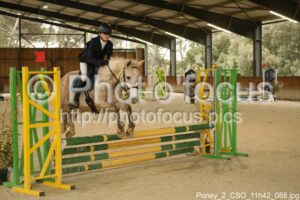 Poney_2_CSO_11h42_088.jpg