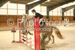 Poney_2_CSO_11h43_091.jpg