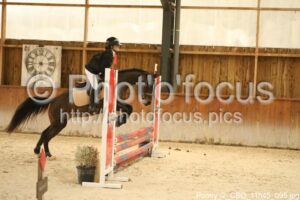 Poney_2_CSO_11h45_095.jpg