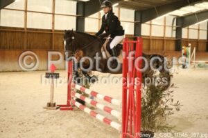 Poney_2_CSO_11h45_097.jpg
