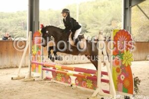 Poney_2_CSO_11h45_098.jpg