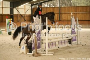 Poney_2_CSO_11h45_099.jpg