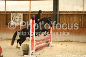 Poney_2_CSO_11h46_102.jpg
