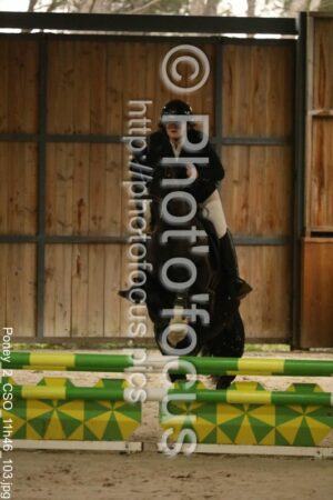 Poney_2_CSO_11h46_103.jpg