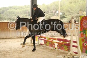 Poney_2_CSO_11h47_105.jpg