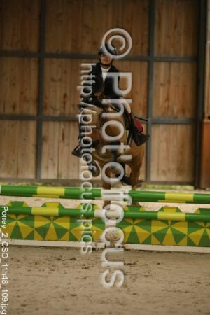 Poney_2_CSO_11h48_109.jpg