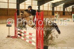 Poney_2_CSO_11h48_110.jpg