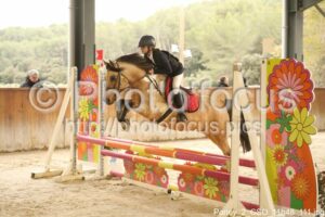 Poney_2_CSO_11h48_111.jpg