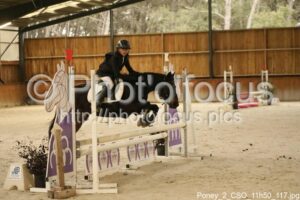 Poney_2_CSO_11h50_117.jpg
