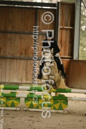 Poney_2_CSO_11h52_121.jpg