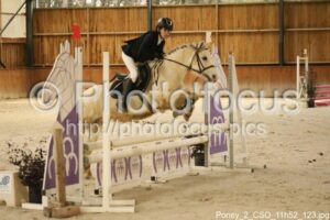 Poney_2_CSO_11h52_123.jpg