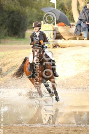 Poney_2_Cross_15h18_041.jpg