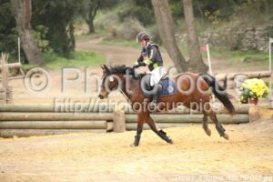 Poney_2_Cross_15h19_042.jpg