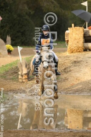 Poney_2_Cross_15h20_046.jpg
