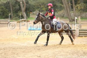 Poney_2_Cross_15h23_055.jpg