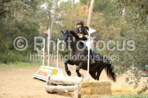 Poney_2_Cross_15h23_056.jpg