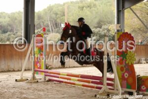 Poney_3_CSO_13h32_003.jpg