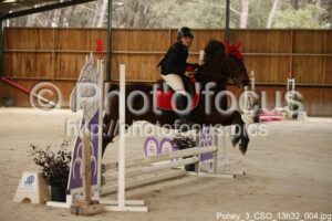 Poney_3_CSO_13h32_004.jpg
