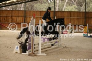 Poney_3_CSO_13h34_008.jpg