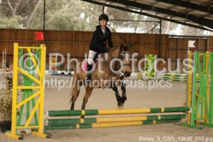 Poney_3_CSO_13h35_010.jpg