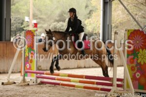 Poney_3_CSO_13h35_012.jpg