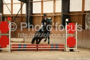 Poney_3_CSO_13h36_015.jpg