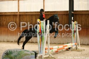 Poney_3_CSO_13h36_016.jpg