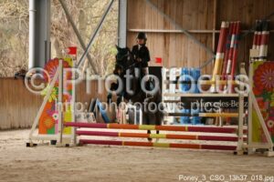 Poney_3_CSO_13h37_018.jpg