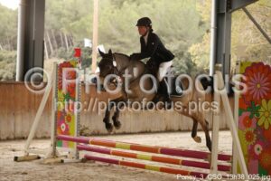 Poney_3_CSO_13h38_025.jpg