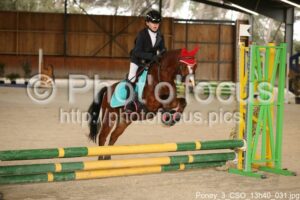 Poney_3_CSO_13h40_031.jpg