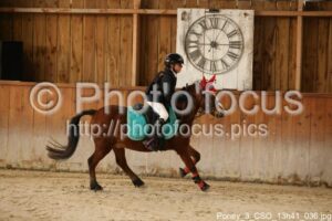 Poney_3_CSO_13h41_036.jpg