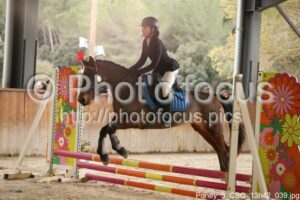 Poney_3_CSO_13h42_039.jpg
