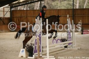 Poney_3_CSO_13h42_040.jpg