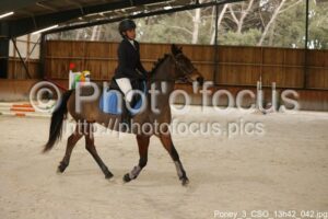 Poney_3_CSO_13h42_042.jpg