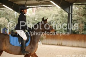 Poney_3_CSO_13h42_043.jpg