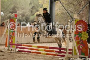 Poney_3_CSO_13h43_046.jpg