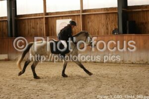 Poney_3_CSO_13h44_049.jpg