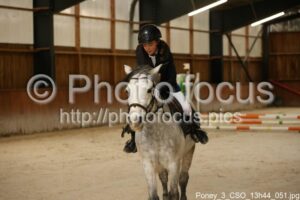 Poney_3_CSO_13h44_051.jpg