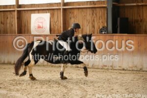 Poney_3_CSO_13h47_059.jpg