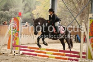 Poney_3_CSO_13h48_063.jpg