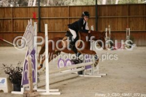 Poney_3_CSO_13h51_072.jpg