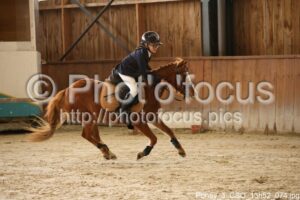 Poney_3_CSO_13h52_074.jpg