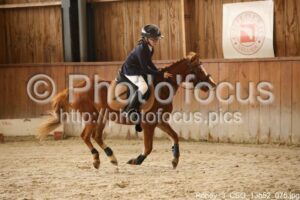 Poney_3_CSO_13h52_075.jpg