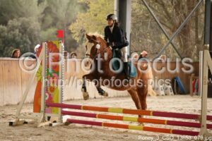 Poney_3_CSO_13h53_079.jpg