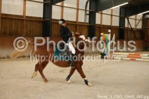 Poney_3_CSO_13h53_083.jpg