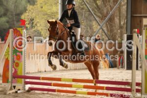 Poney_3_CSO_13h55_086.jpg