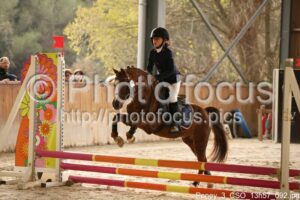 Poney_3_CSO_13h57_092.jpg