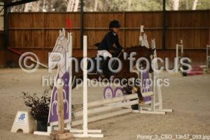 Poney_3_CSO_13h57_093.jpg