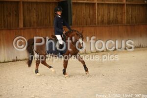 Poney_3_CSO_13h57_097.jpg